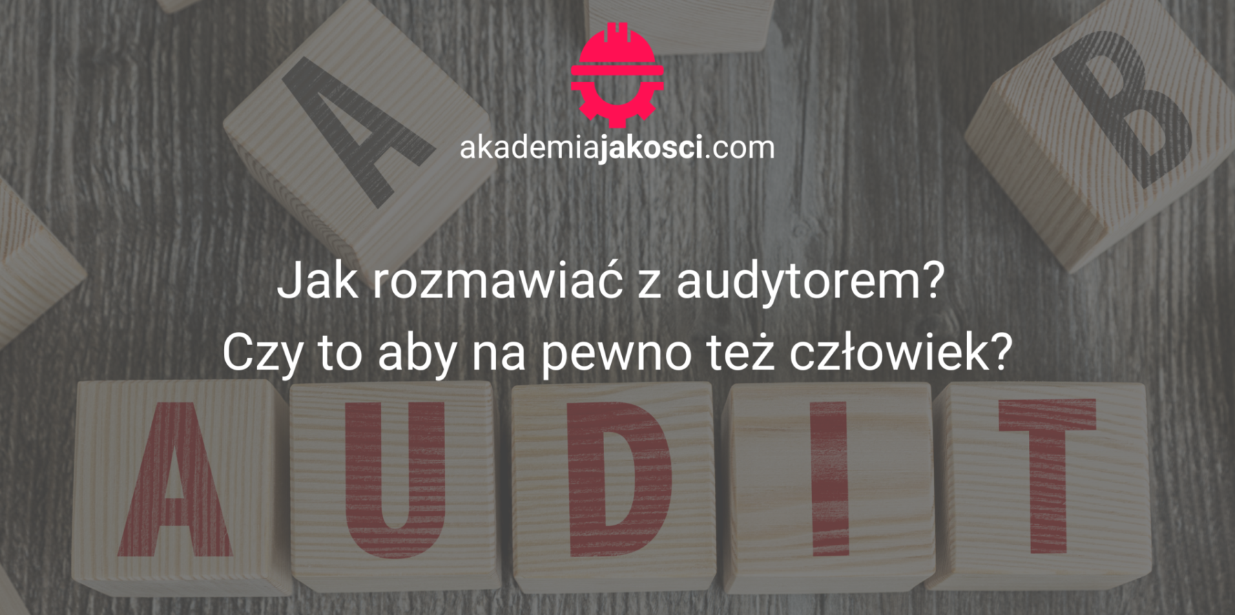 Jak rozmawiać z audytorem?