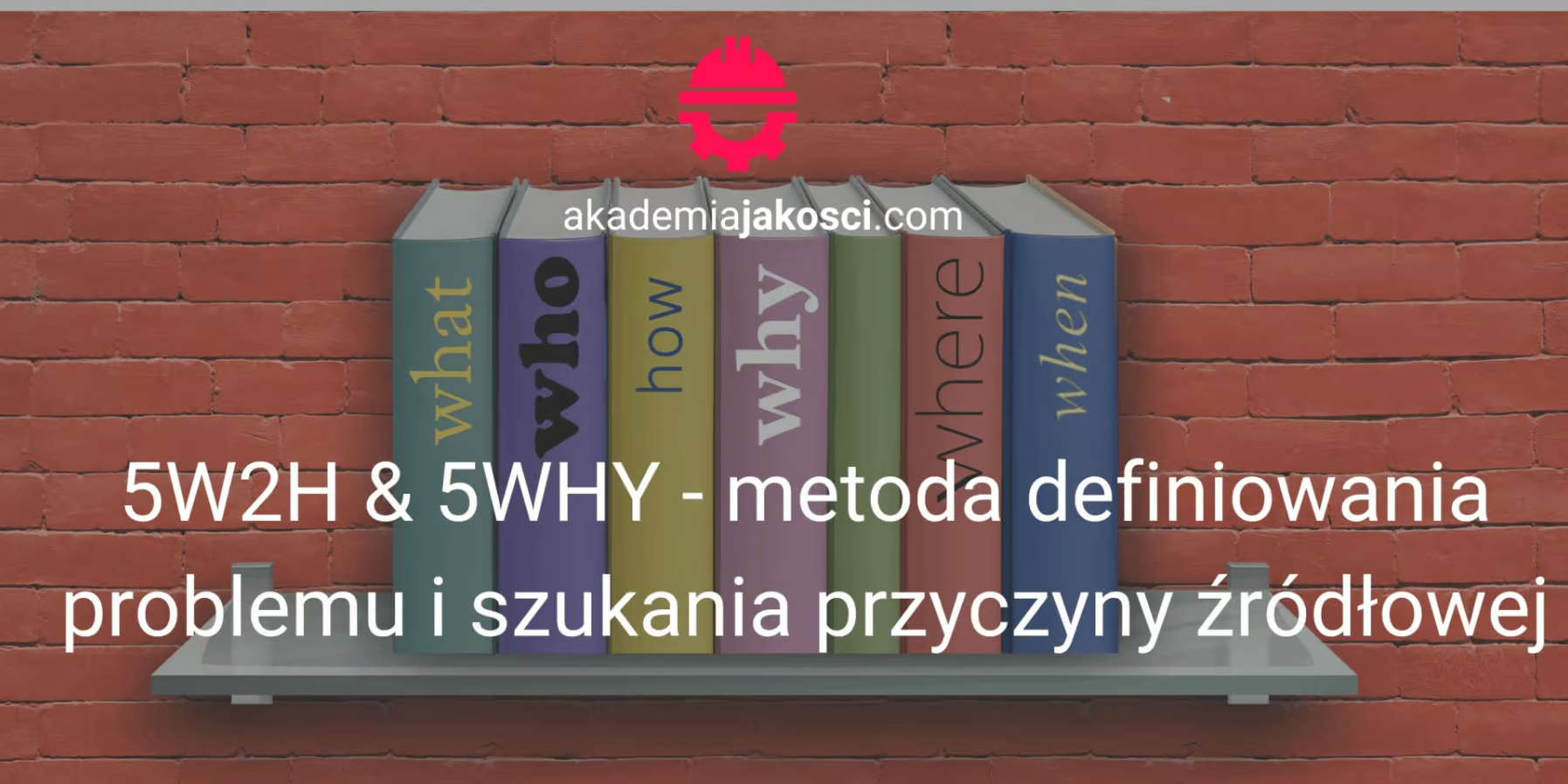 5w2h 5why